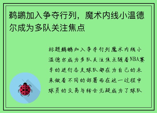 鹈鹕加入争夺行列，魔术内线小温德尔成为多队关注焦点